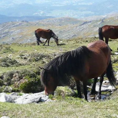 Casa Do Avô Sistelo