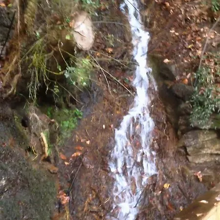 Casa vacanze Casa Do Avo *