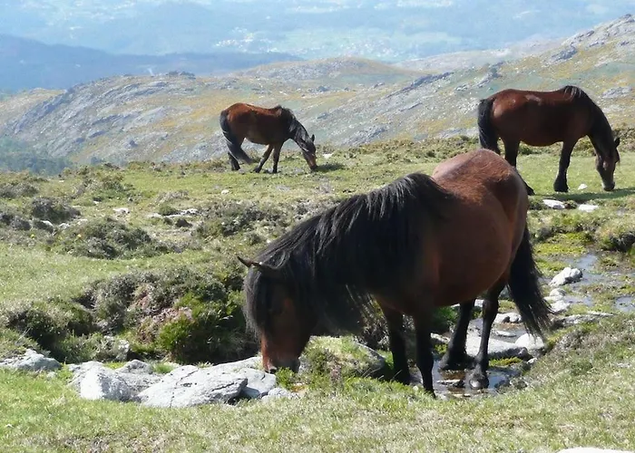 Casa Do Avo システロ