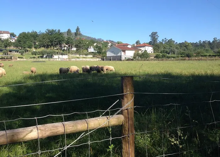 Casa Do Avo システロ