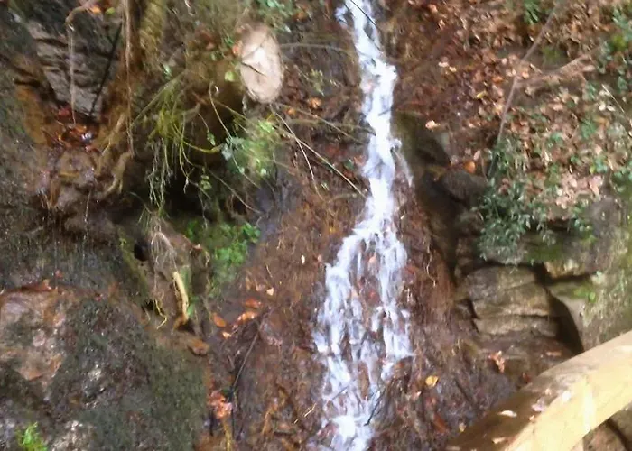 Dom wakacyjny Casa Do Avo *